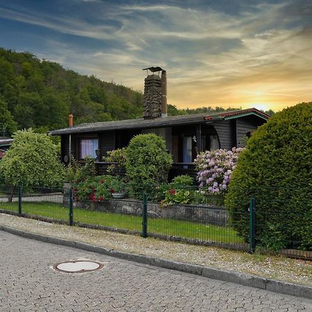 Ferienblockhaus Harzidyll Daire Wieda Dış mekan fotoğraf