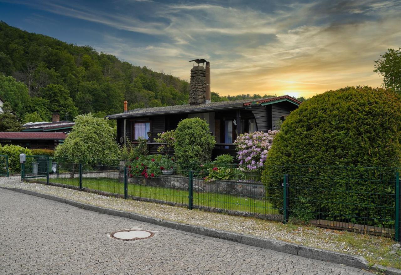 Ferienblockhaus Harzidyll Daire Wieda Dış mekan fotoğraf