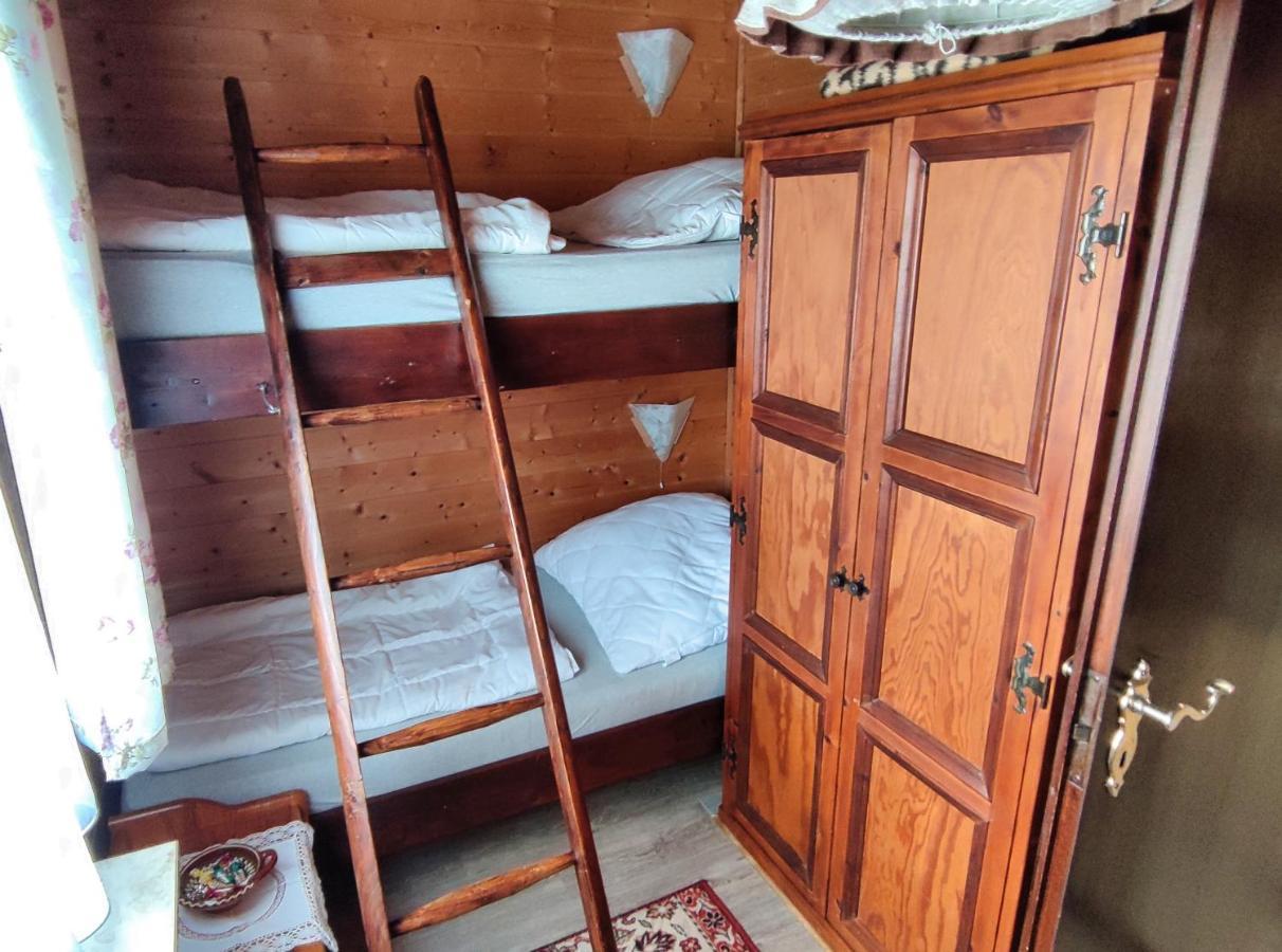 Ferienblockhaus Harzidyll Daire Wieda Dış mekan fotoğraf